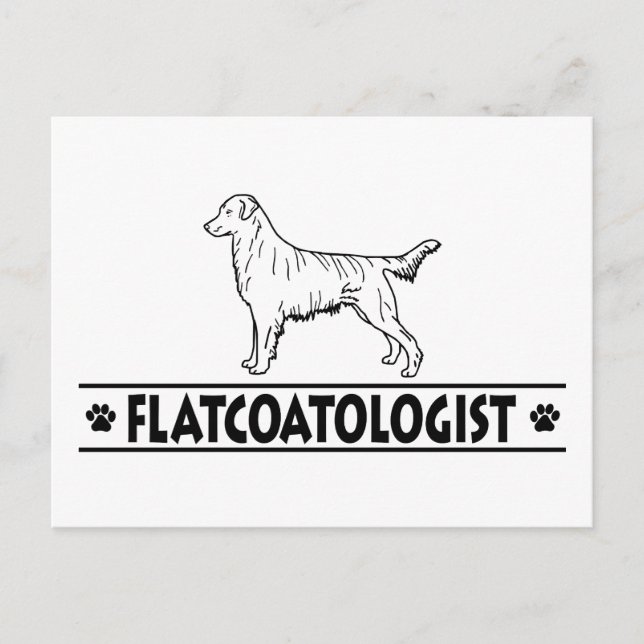 Humorous Flat Coated Retriever Postcard (Front)
