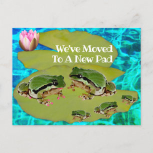 Humorous Frog Family On Lily Pad We've Moved Postcard