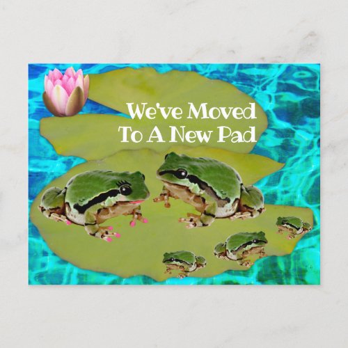 Humorous Frog Family On Lily Pad Weve Moved Postcard