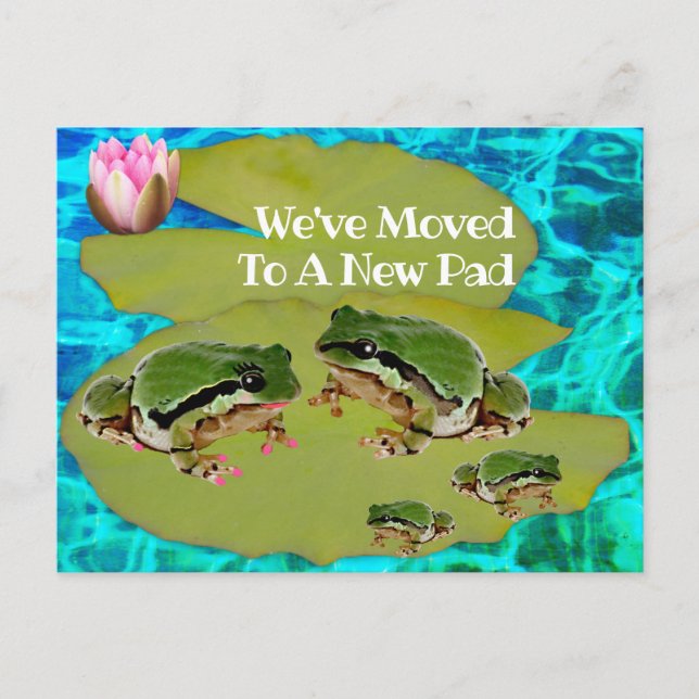 Humorous Frogs Lilies Pad We Moved Announcement Postcard (Front)