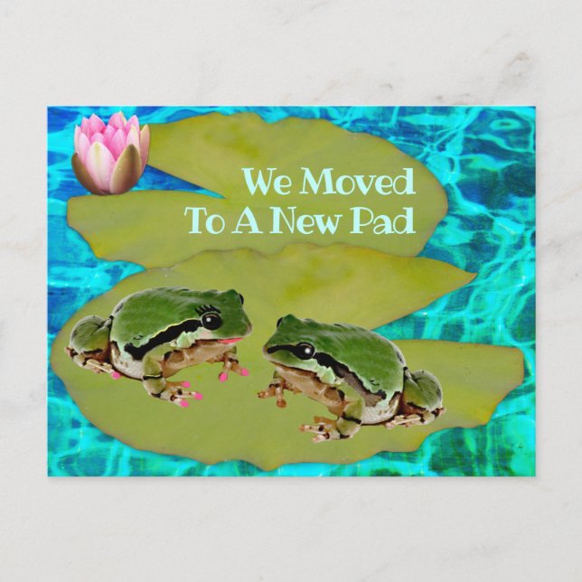 Humorous Frogs Lilies Pad We Moved Announcement Postcard (Front)