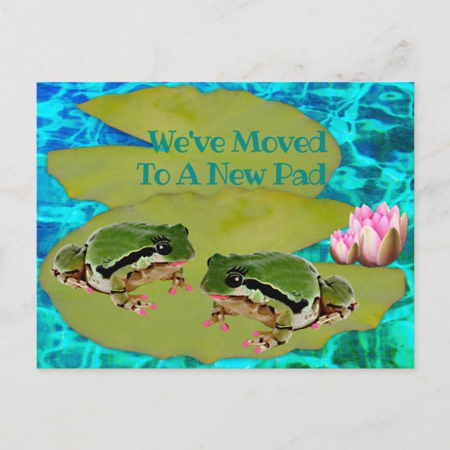 Humorous Frogs Lilies Pad We Moved Announcement Postcard (Front)