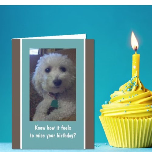 Humorous fun belated birthday card