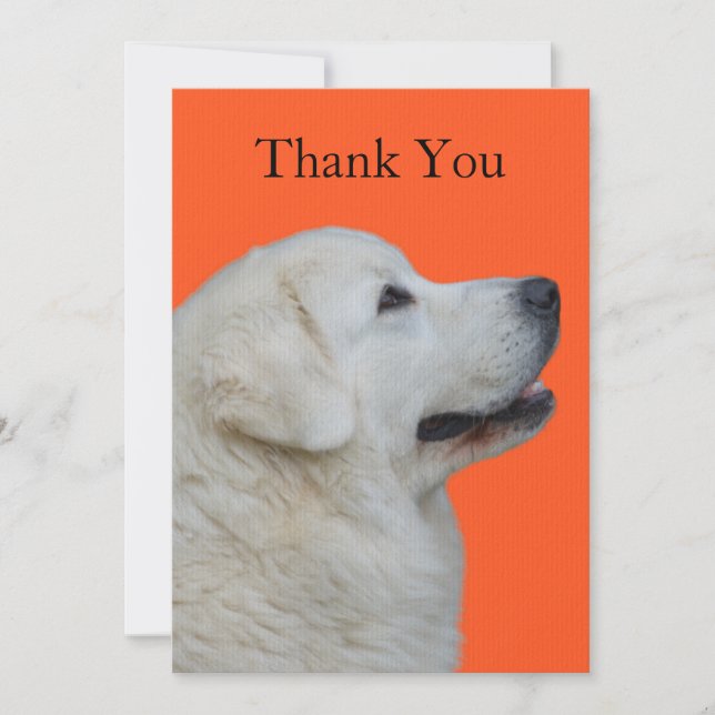 Humorous, Fun Thank You Card with Polish Tatra Dog (Front)