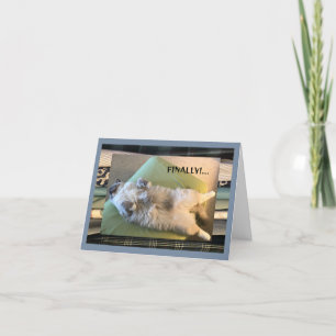 Humorous, funny and silly card