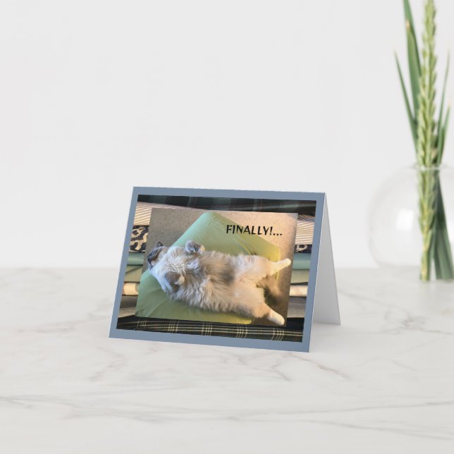 Humorous, funny and silly  card (Front)