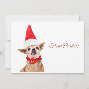 Humorous   funny chihuahua   unique & unusual holiday card