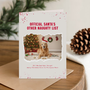 Humorous Funny Dog Photo Greetings Folded  Card