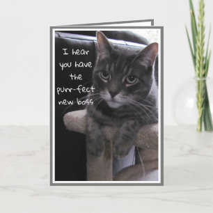 Humorous Funny Happy Retirement Card