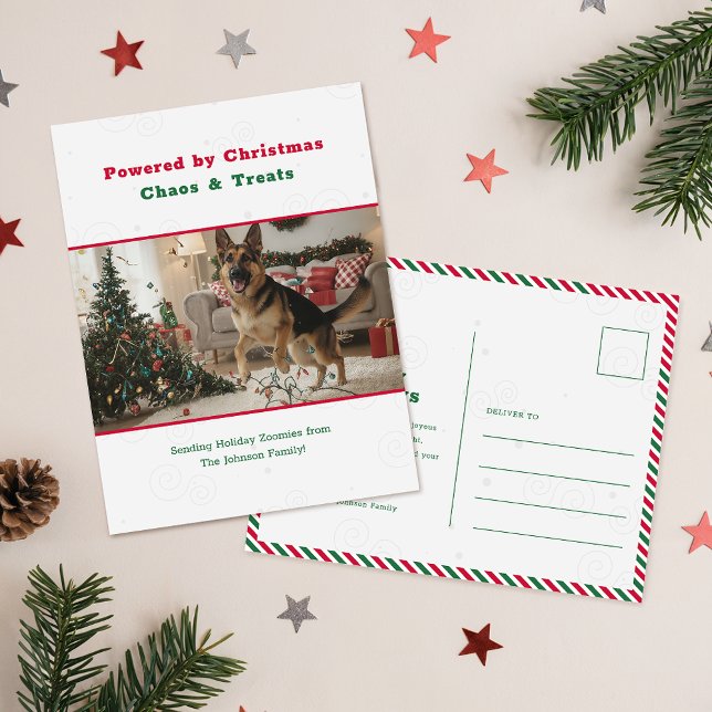 Humorous Funny Pet Dog Photo Christmas Postcard (Creator Uploaded)