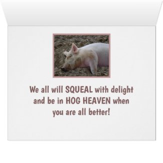 HUMOROUS GET WELL FROM GROUP/SLEEPING PIG