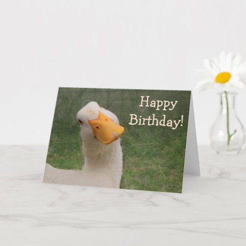 Humorous Goose Birthday Card