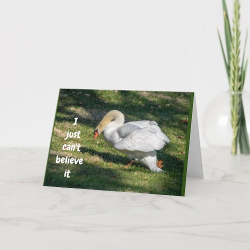 HUMOROUS GOOSE KIDDING ABOUT YOUR 50th BIRTHDAY Holiday Card