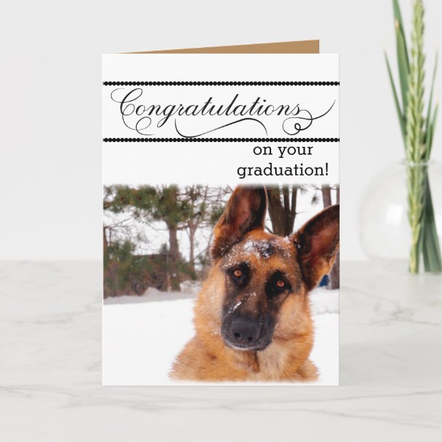 Humorous Graduation Card with German Shepherd (Front)