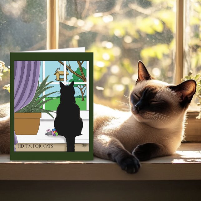 Humorous Green Curious Black Cat Window  Card (Creator Uploaded)