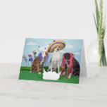 Humorous Greeting Card, Photo Of 3 Dogs, Any Theme Card at Zazzle