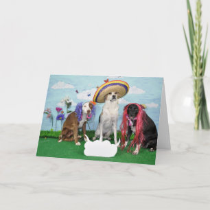 Humorous greeting card, photo of 3 dogs, any theme card
