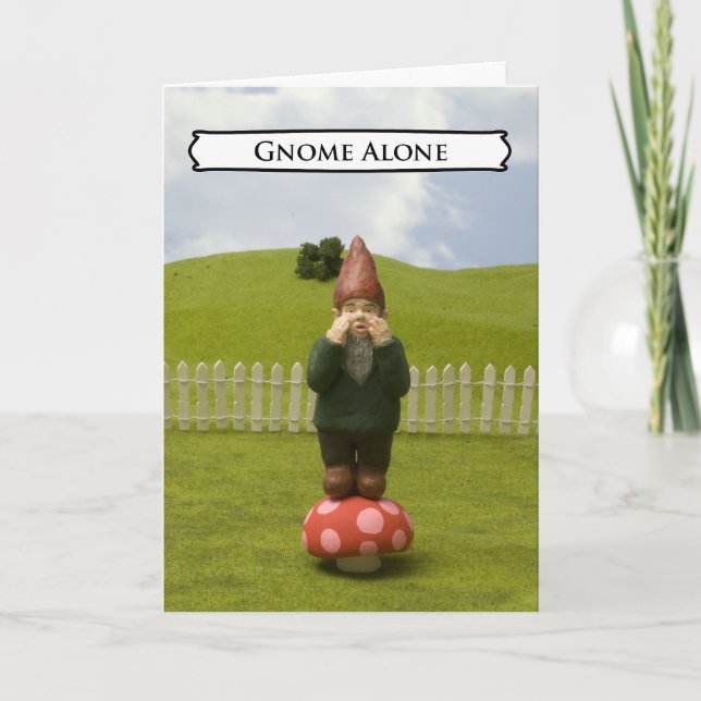 Humorous Greeting Cards (Front)
