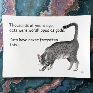Humorous Grey Whimsical Cat Egyptian Mau Trinket Tray