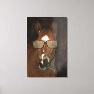 Humorous Horse Foal Smoking Cigar Canvas Art