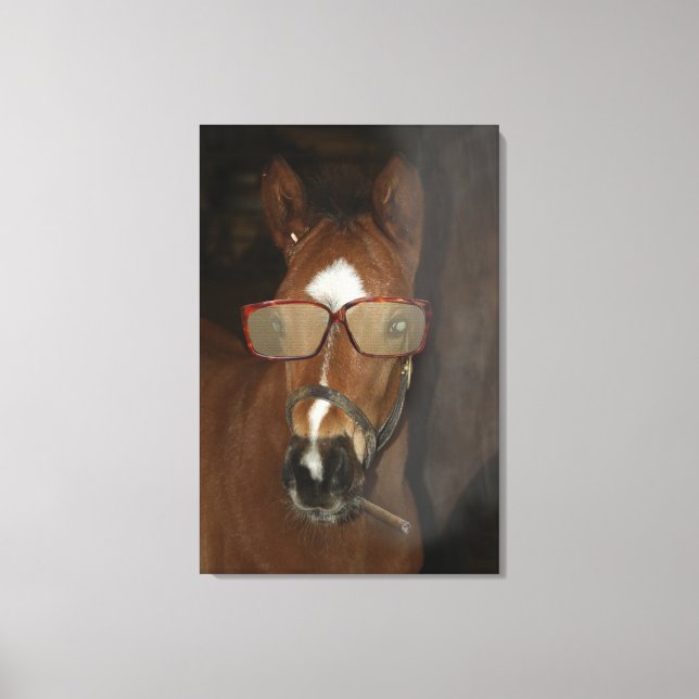 Humorous Horse Foal Smoking Cigar Canvas Art (Front)