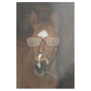 Humorous Horse Foal Smoking Cigar Gallery Wrap