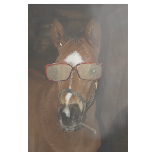 Humorous Horse Foal Smoking Cigar Gallery Wrap (Front)