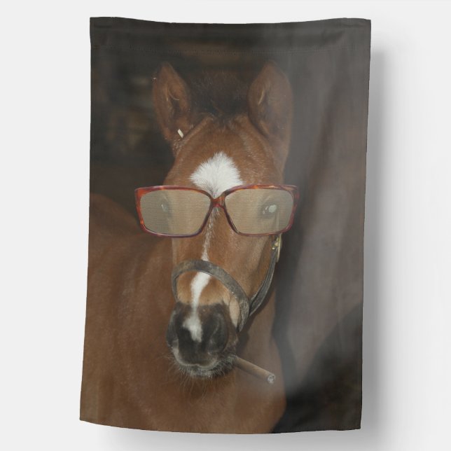 Humorous Horse Foal Smoking Cigar House Flag (Front)