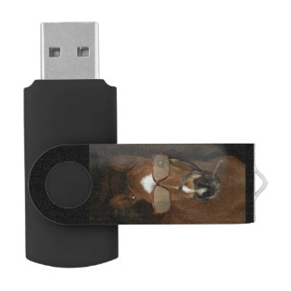 Humorous Horse Foal Smoking Cigar USB Flash Drive