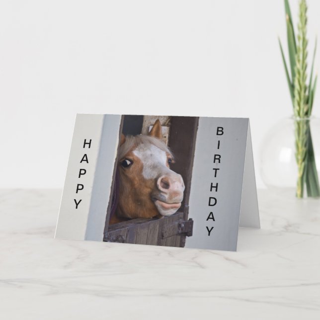 Humorous Horse Happy Birthday Card (Front)
