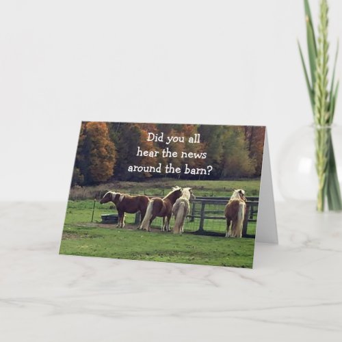 HUMOROUS HORSES KIDDING ABOUT YOUR AGE HOLIDAY CARD