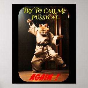 Humorous Karate Theme Poster