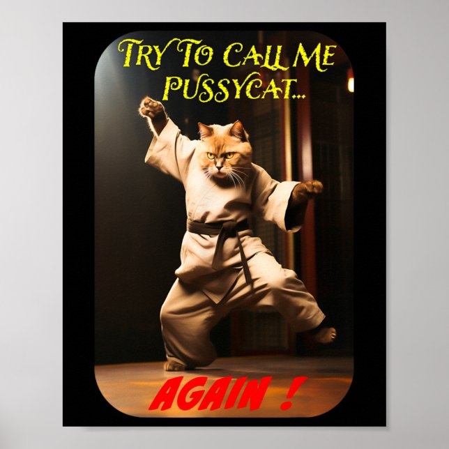 Humorous Karate Theme  Poster (Front)