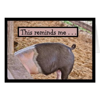 Humorous "let's Have Lunch"/hog Eating In Pigpen by whatawonderfulworld at Zazzle