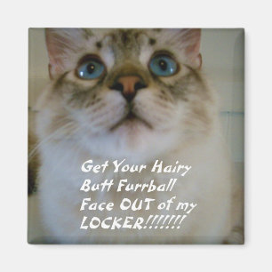humorous Locker Magnet