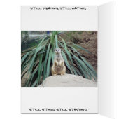 Humorous Meerkat - Circle One Cards (Inside (Left))