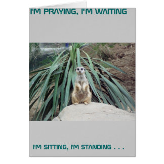 Humorous Meerkat - Circle One Cards