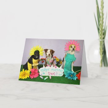Humorous Mother's Day Card Using Dogs In Customs. by PlaxtonDesigns at Zazzle
