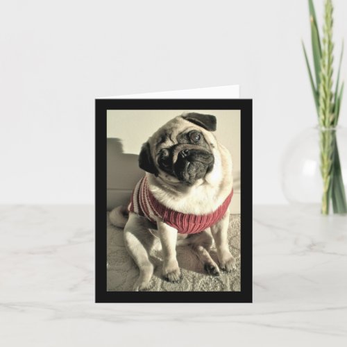 Humorous Mothers Day Pug Card