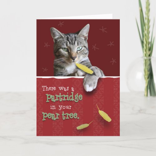 Humorous Naughty Cat Christmas Card