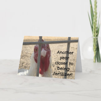 Humorous Old Adult Birthday Card