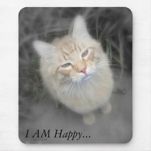 Humorous Orange Cat Mousepad (Front)