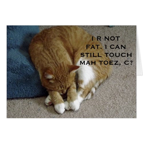 Humorous Orange Tabby Cat Card