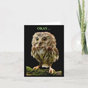 Humorous Owl choosing the fun option Card