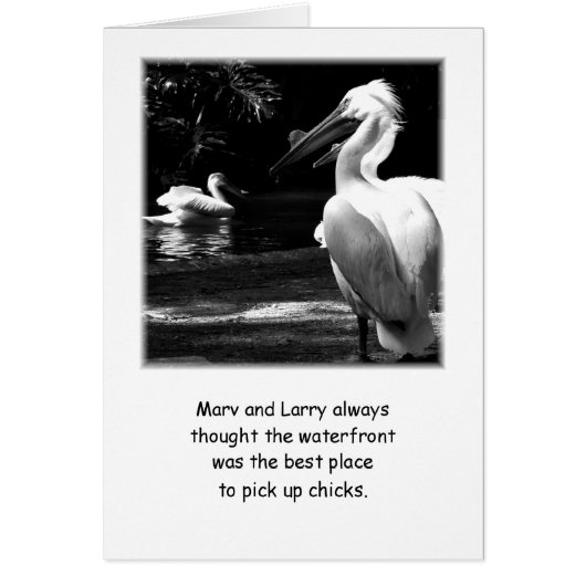 Humorous Pelicans Cards (Front)