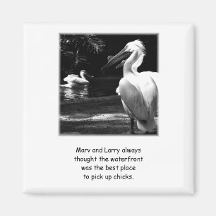 Humorous Pelicans Magnet