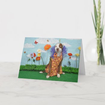 Humorous Photo Of Dog In Clothing  Birthday Card by PlaxtonDesigns at Zazzle