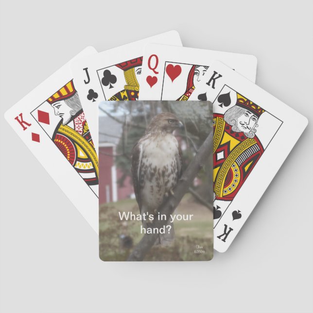 Humorous Red Tailed Hawk Red Barns Poker Cards (Back)