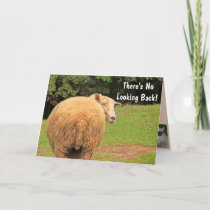 Humorous Sheep Advice Birthday Card