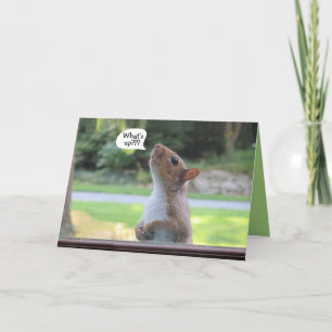 Humorous squirrel birthday occasion greeting card